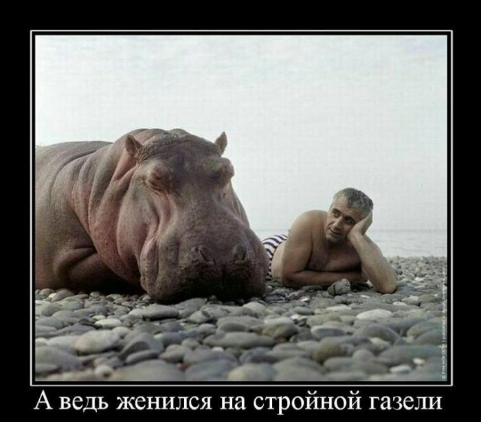 А ведь женился на стройной газели
