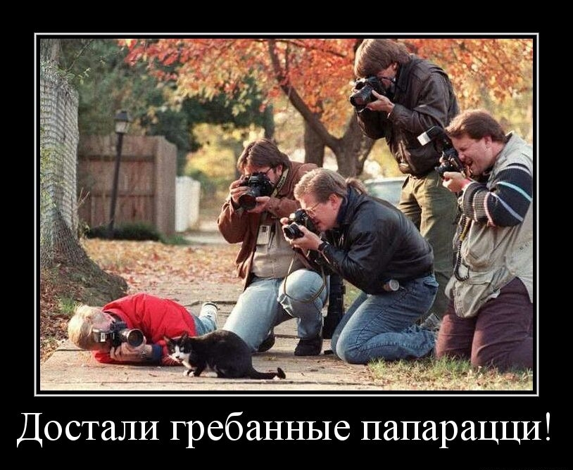 Достали гребанные папарацци