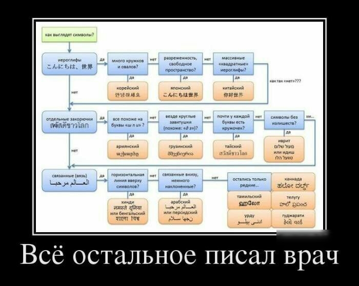 Всё остальное писал врач