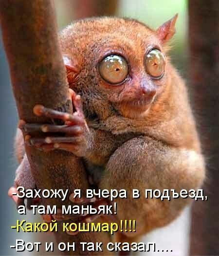 _ м маньяк анпи кошмар Во и он так ска