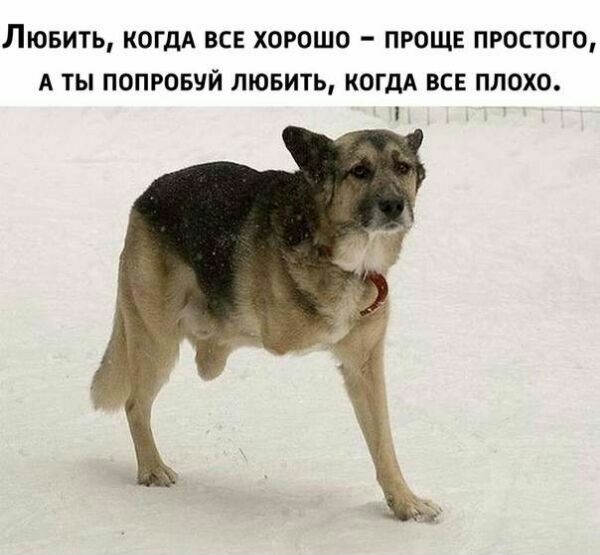 ЛЮБИТЬ КОГДА ВСЕ ХОРОШО ПРОЩЕ ПРОСТОГО А ТЫ ПОПРОБУЙ ЛЮБИТЬ КОГДА ВСЕ ПЛОХО