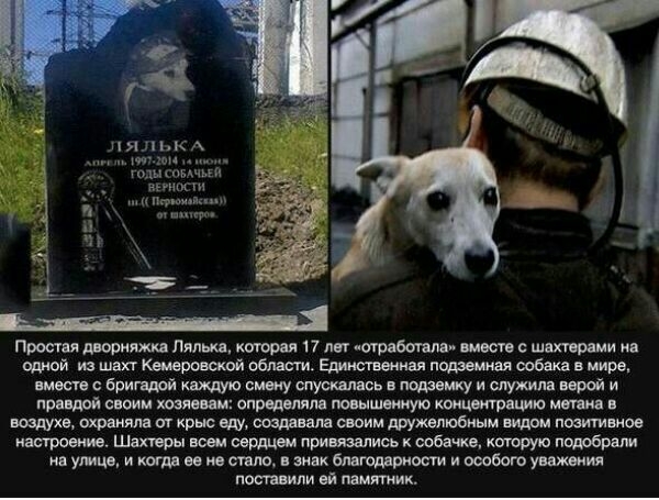 Просит шпияжив Лялькв катия 17 лвл шрабагшш виш швхщими из одной из шахт област Едиистввииал помещая собака мире вместе Бригадай смену спусшнсь подземку и служила верой и ппввшй своим хеш ам опрвдвпялв шышщю коицщвшю миша видуха вхрвияла ог крыс еду жим дружвлюбиым щим позитивное напрасные шатры воем сердцам привязались побачив хитрую недобрым на улице и когда за не шло жк благодарим и соевого уиж
