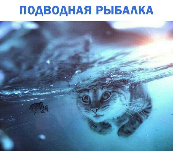 ПОДВОДНАЯ РЫБААКА
