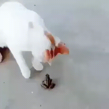 Ё