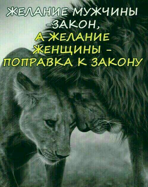 жкх 9115 МУЖЧИНЫ