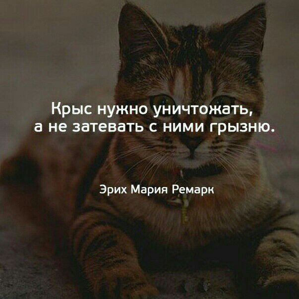КРЫС НУЖНО УНИЧТОЖЗТЬ а не затевать С НИМИ ГРЫЗНЮ Эрих Мария Ремарк