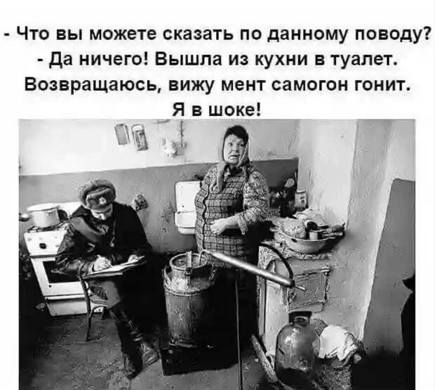 Что вы можете сказать по данному поводу да ничего Вышла из кухни в туалет Возвращаюсь вижу мент самогон гонит