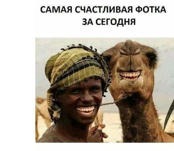 САМАЯ СЧАСТЛИВАЯ ФОТКА ЗА СЕГОДНЯ