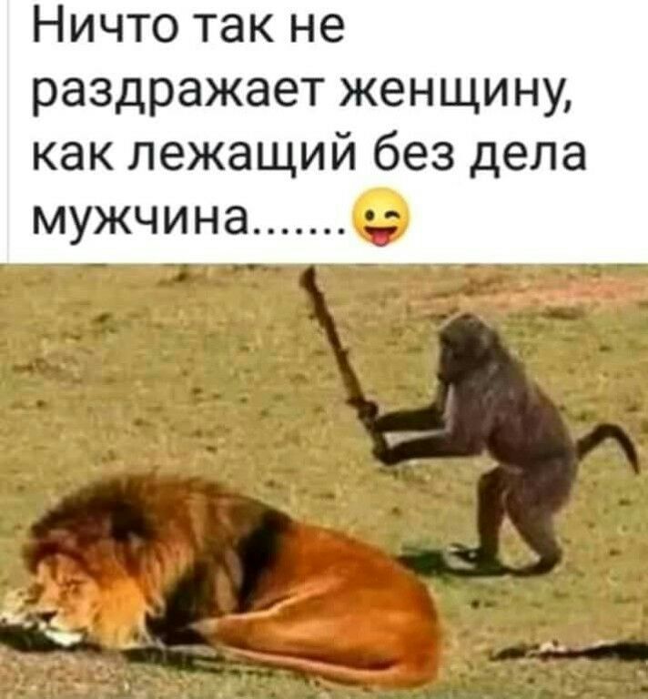 Ничто так не раздражает женщину как лежащий без дела МУЖЧИНЭ _ __ ___