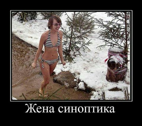 Жена синоптика