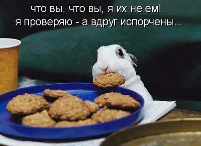 что вы что вы я их не ем я проверяю а вдруг испорчены