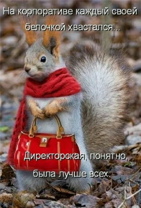 1 _ 4иректорека была луч