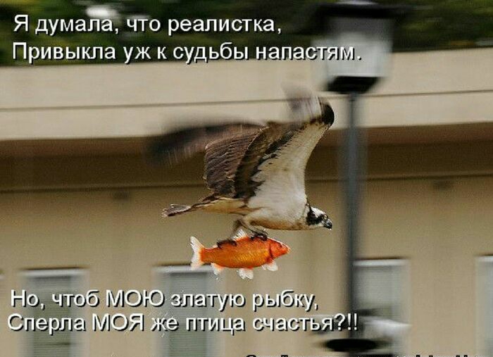 Я думаЁ ЧТо реалистка Привыкпа ж кс ьбь 3996 мою 1 071 ж