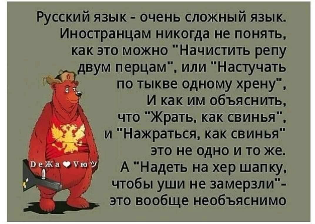 Русский язык очень сложный язык Иностранцам никогда не понять как это можно Начистить репу двум перцам или Настучать по тыкве одному хрену И как им объяснить _ что Жрать как свинья Ё и Нажраться как свинья 3 это не одно и то же Вега А Надеть на хер шапку з чтобы уши не замерзли это вообще необъяснимо