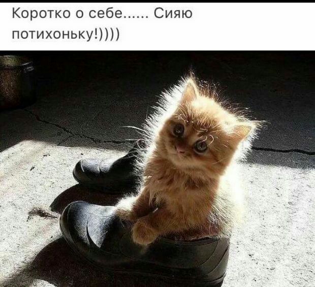 Коротко о се потихоньку