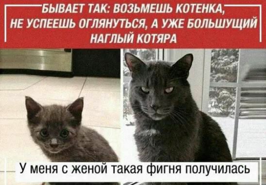 Ь у Пт мм мн тп и У меня с женой такая фигня получилась