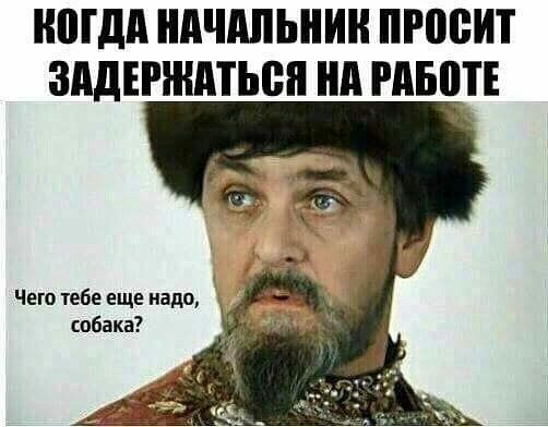 МДА НАЧАЛЬНИК ПРЩБИТ ЗАДЕРНШТЬВП Нд РАЫПЕ Чего тебе еще надо собака