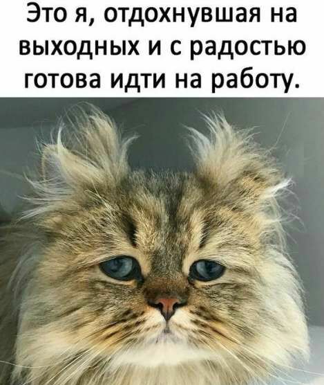 Это я отдохнувшая на выходных и с радостью готова идти на работу