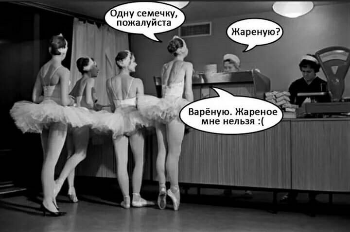 Одну семечку пожалуйста Варёную Жареное мне нельзя