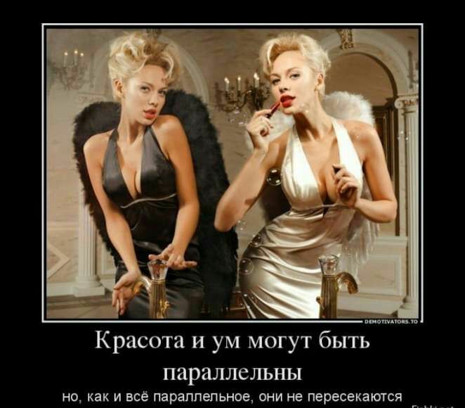 Красота и ум могут быть параллельны но как и всё параппепьное они не пересекатся