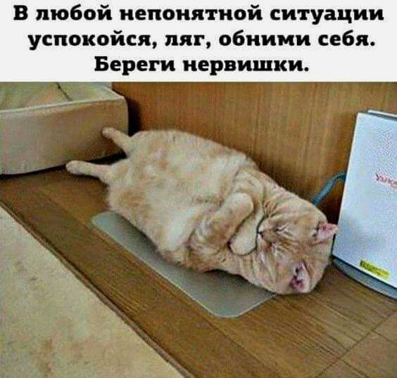 В любой непонятной ситуации успокойся пят обними себя Береги нервишки