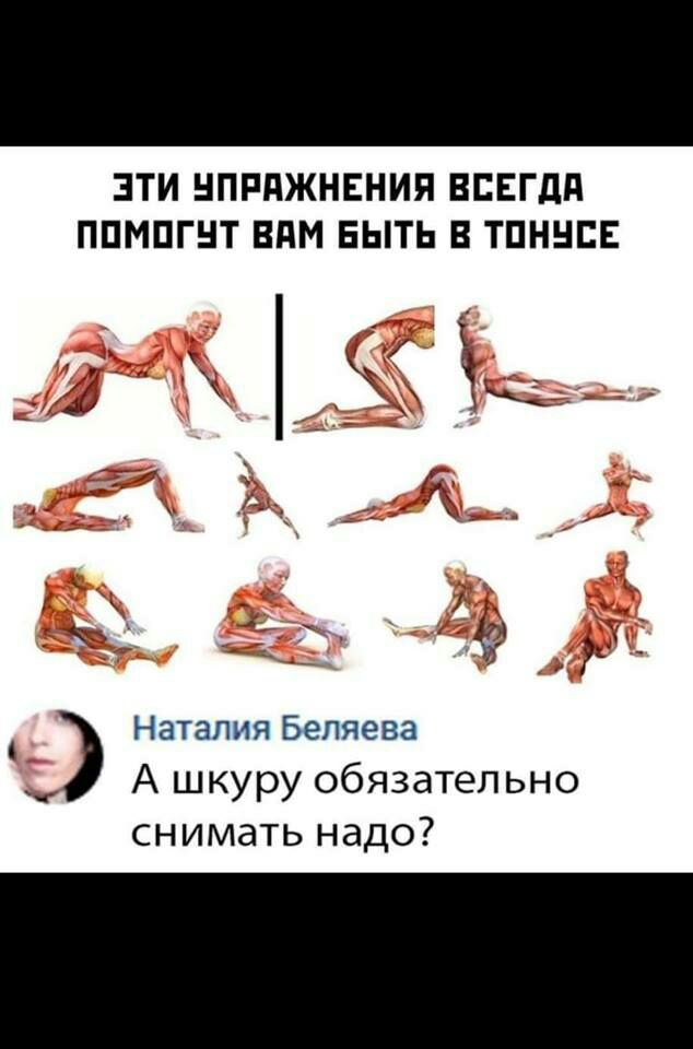 ЭТИ НПРПЖНЕНИЯ ВСЕГДА ППМПГНТ ВдМ БЫТЬ В ТПННСЕ 36 __ х рсс САИ _г Аі__ Наталия Беляева А шкуру обязательно снимать надо