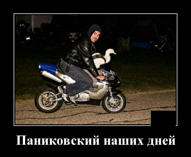 Паниковский наших Дней