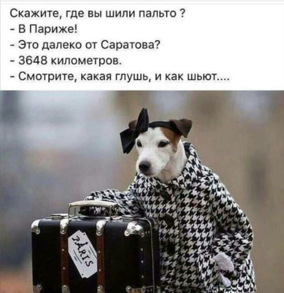 Скажите где вы шили пальто В Париже Это далеко от Саратова 3648 километров Смотрите какая глушь и как шьют