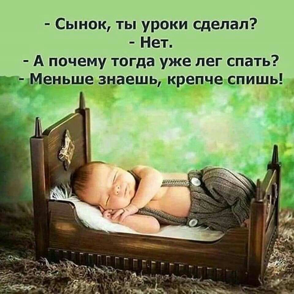 Сынок ты уроки Сделал Нет А почему тогда уже лег спать Меньше знаешь крепче спишь