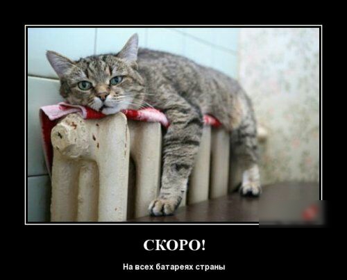 СКОРО нех аня пр