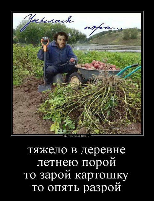 тяжело в деревне летнею порой то зарой картошку то опять разрой