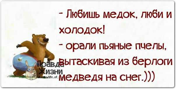 Любишь медок пюби и холодок орапи пьяные пчелы вытаскивая из берлоги зипюдведя на снег