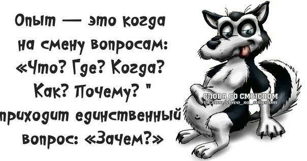 Опыт это когэа на смену вопросам Что Гус Когда Как ПоЧему прихоаит е9инствениый вопрос ЗОЧем