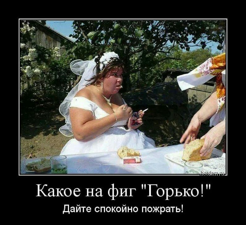 Какое на фиг Горько Дайте спокойно пожрать