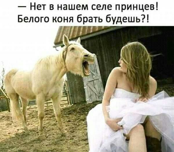 Нет в нашем селе принцев Белого коня брать будешь
