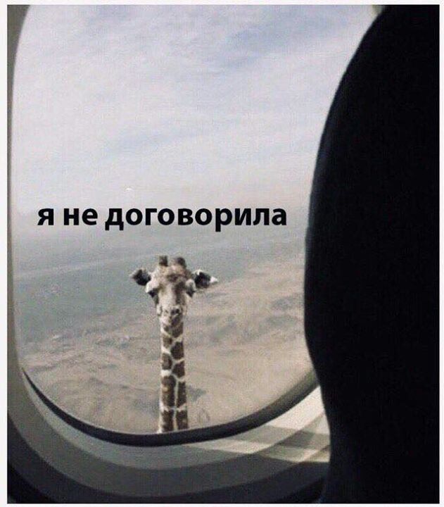 Я не договорипа д