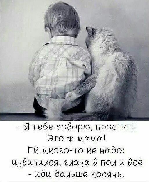 Я тебе говорю простит Это эк мама Ей многото не надо извинился надо 8 пол и Всё иди дальше косячь