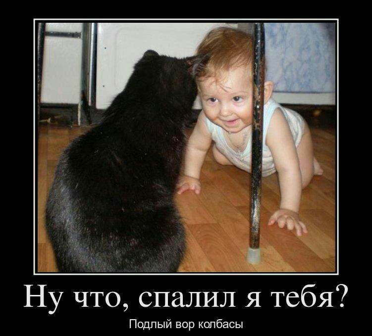 Ну что спалил я тебя Подлый вор колбасы