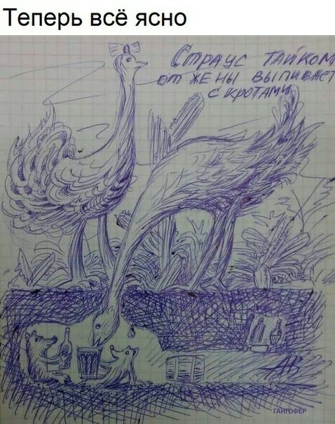 Теперь всё ясно