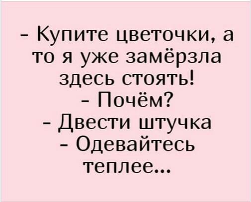 Купите цветочки а то я уже замёрзла здесь стоять Почём Двести штучка Одевайтесь теплее