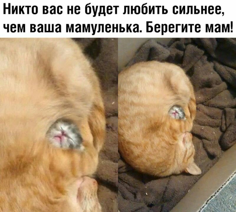 Никто вас не будет любить сильнее чем ваша мамуленька Берегите мам