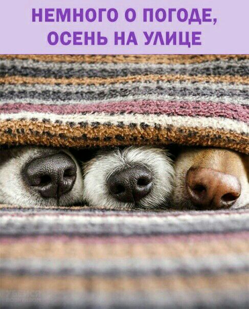 НЕМНОГО О ПОГОДЕ ОСЕНЬ НА УАИЦЕ видФ