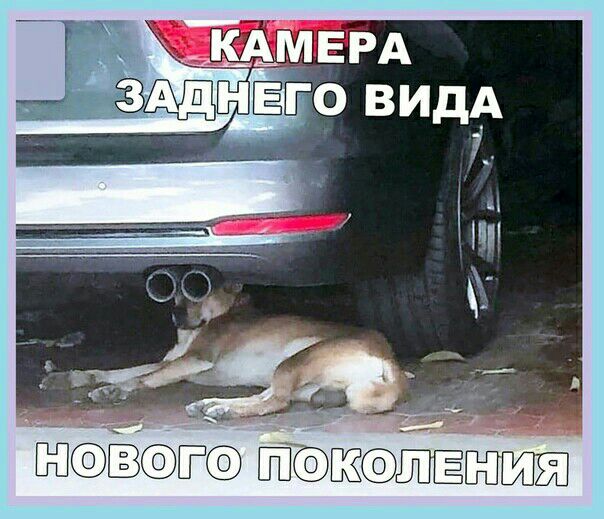 ЁТ ЙБЁЁПЁ