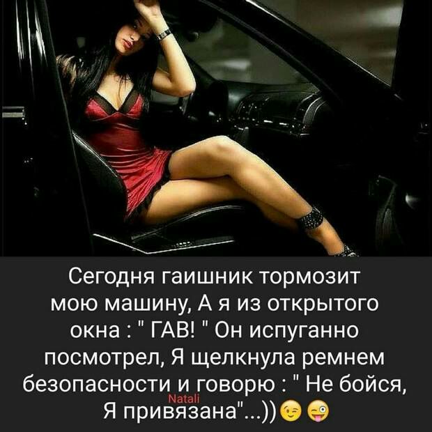 Сегодня гаишник тормозит мою машину А я из открытого окна ГАВ Он испуганно посмотрел Я щелкнула ремнем безопасности и говорю Не бойся Маш Я привязана О