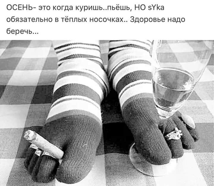ОСЕНЬ это когда куришьпьёшь НО Уа обязательно в тёплых носочках Здоровье надо