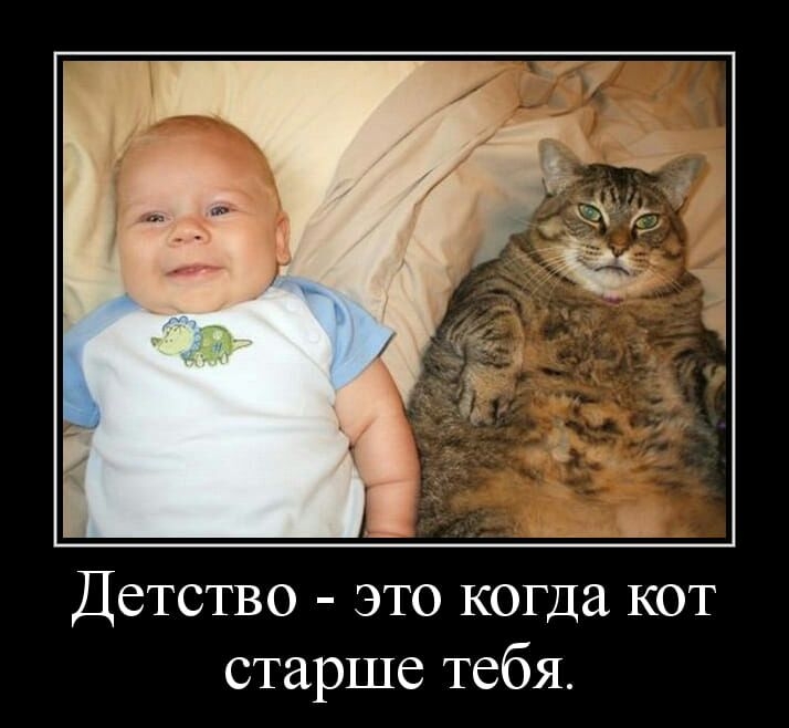 Детство это когда кот старше тебя