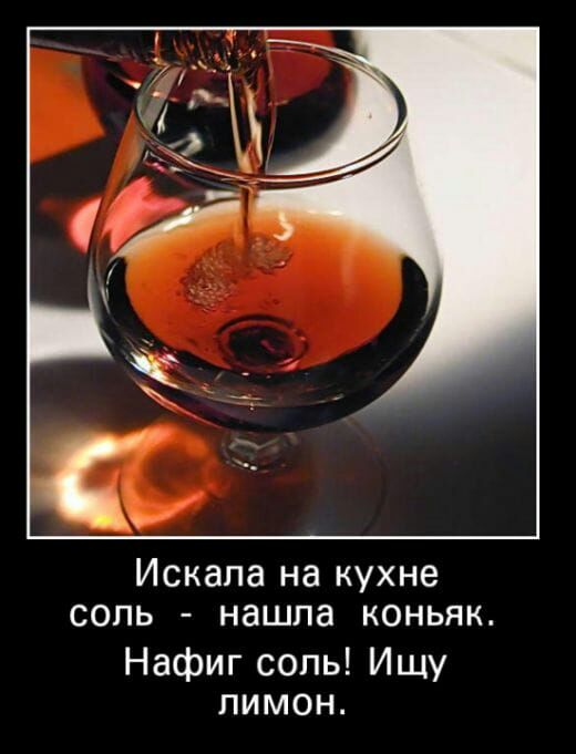 Искала на кухне соль нашла коньяк Нафиг соль Ищу лимон
