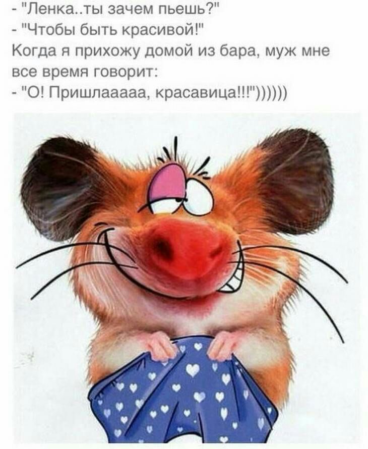 Ленкаты зачем пьешь Чтобы быть красивой Когда я прихожу домой из бара муж мне все время говорит О Пришлааааа красавица