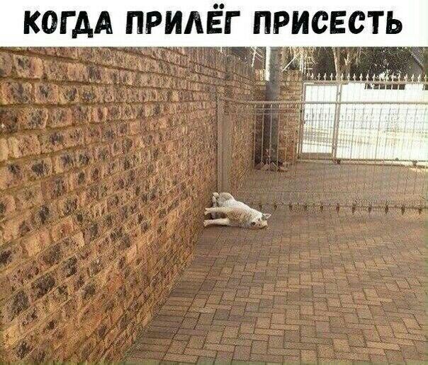 когдА придёг присесть 5