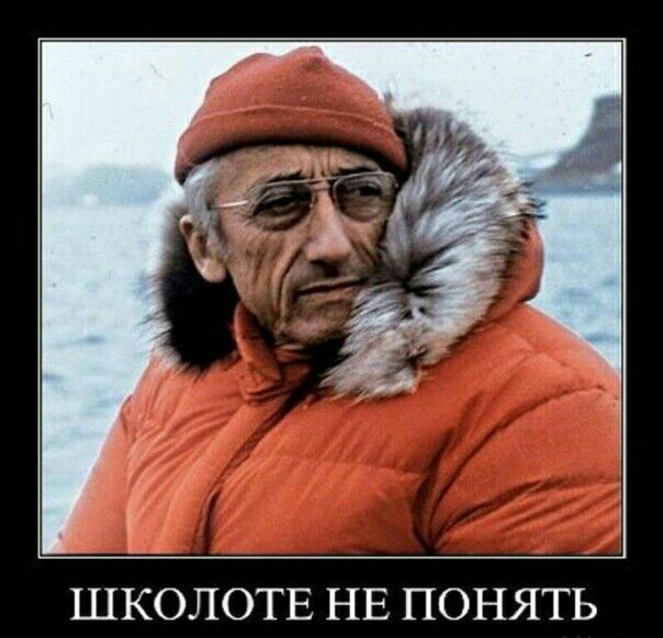 ШКОЛОТЕ НЕ ПОНЯТЬ